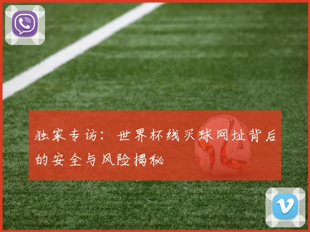 独家专访:世界杯线买球网址背后的安全与风险揭秘