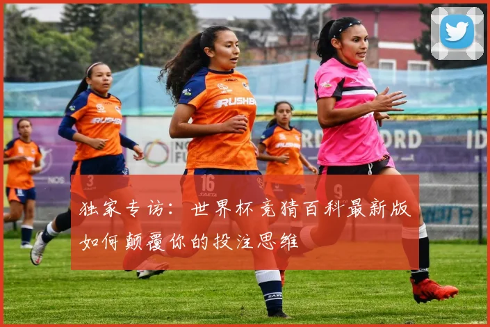 独家专访：世界杯竞猜百科最新版如何颠覆你的投注思维
