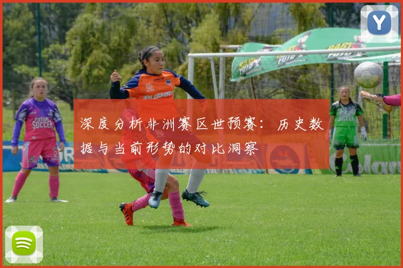 深度分析非洲赛区世预赛：历史数据与当前形势的对比洞察
