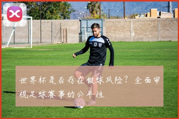 世界杯是否存在假球风险?全面审视足球赛事的公平性