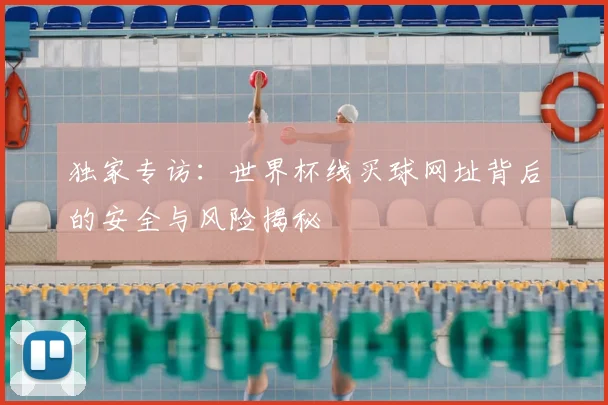 独家专访：世界杯线买球网址背后的安全与风险揭秘