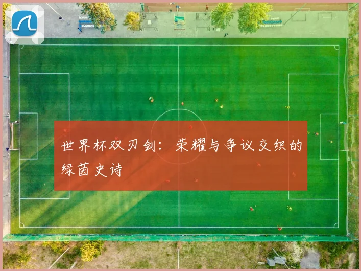 世界杯双刃剑：荣耀与争议交织的绿茵史诗