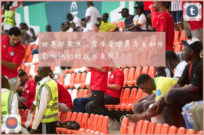 世界杯聚焦：摩洛哥球员身高如何影响他们的战术表现？