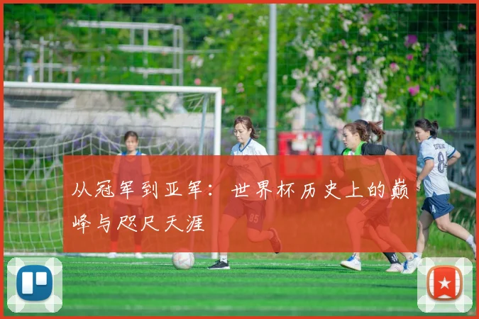 从冠军到亚军：世界杯历史上的巅峰与咫尺天涯