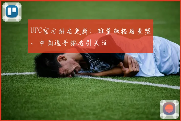 UFC官方排名更新：雏量级格局重塑，中国选手排名引关注
